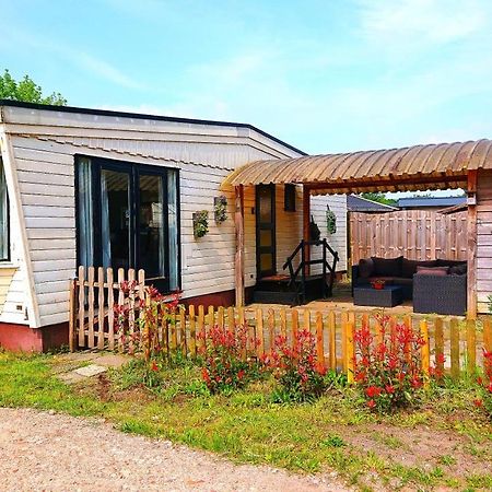 *Butterfly* Heerlijke Chalet Met Omheinde Tuin In Bosrijke Omgeving. Villa Anloo ภายนอก รูปภาพ