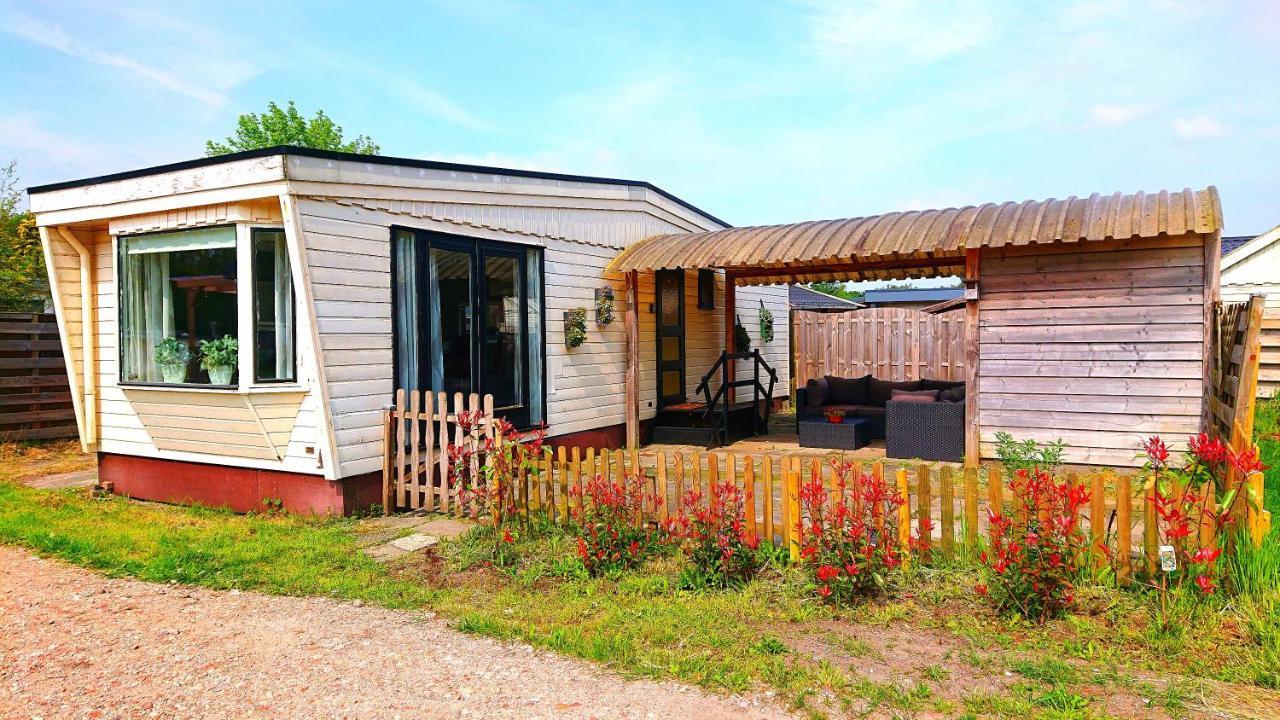 *Butterfly* Heerlijke Chalet Met Omheinde Tuin In Bosrijke Omgeving. Villa Anloo ภายนอก รูปภาพ