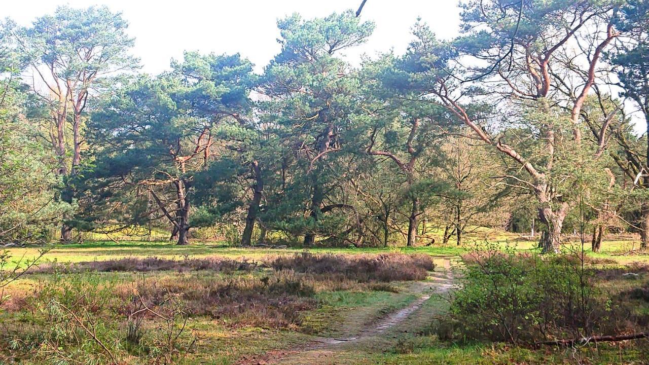 *Butterfly* Heerlijke Chalet Met Omheinde Tuin In Bosrijke Omgeving. Villa Anloo ภายนอก รูปภาพ